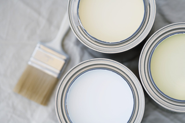 Maler Maulbetsch Farbe